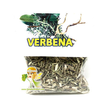 Verbena